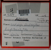 Image Associated With the Occurence